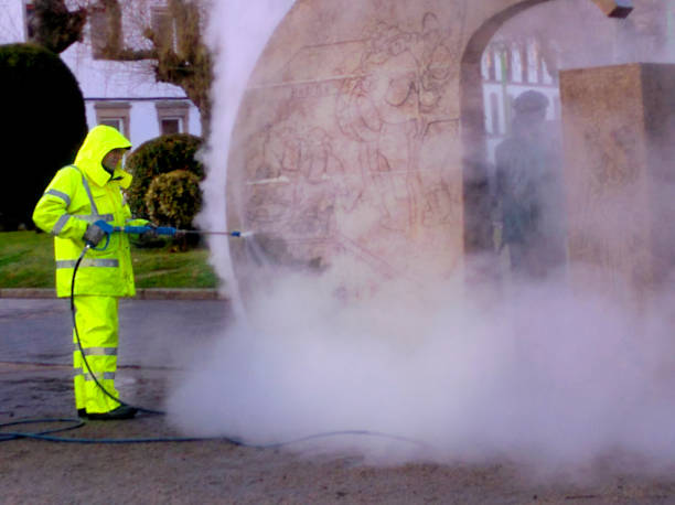Best Best Pressure Washing Companies  in Adrian, MO